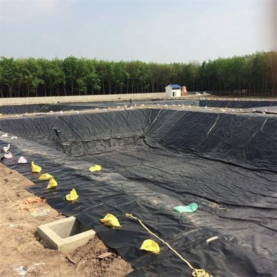 Waterproofing Polyethylene Pond Liner with Both Side Smooth Surface and 1mm Thickness
