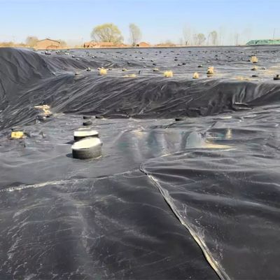 Double Smooth Surface 0.5mm LDPE LLDPE HDPE Geomembrane for Fish Industry Dam Liner