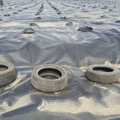 Double Smooth Surface 0.5mm LDPE LLDPE HDPE Geomembrane for Fish Industry Dam Liner
