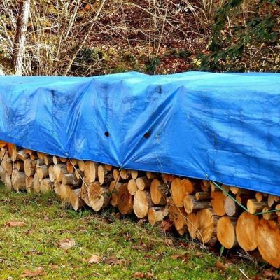 LDPE Coated Woven PE Tarpaulin Sheet for Tent and Truck Cover in Waterproof Material