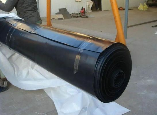 Double Texture HDPE Geomembrane for Tarpaulin Fish Farming Tank Double Smooth Surface