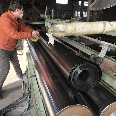 Double Texture HDPE Geomembrane for Tarpaulin Fish Farming Tank Double Smooth Surface