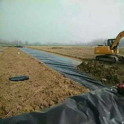 1.0mm Fish Pond HDPE Geomembrane Liner Sheet for Onsite Training and After-sale Service