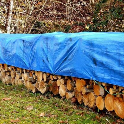 Custom Fish Pond Tent Tarp Sheet 240GSM Tarpaulin for Car Trailer Cover Waterproof PE