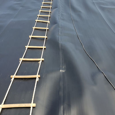 HDPE LDPE 1mm Dam Pond Liner 1.5mm 2mm Landfill Geomembrane with Length 50m-100m/roll