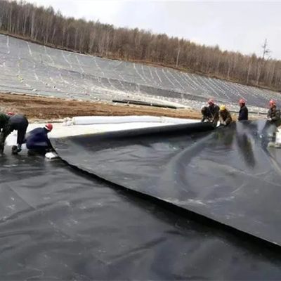 White HDPE Geomembrane Fish Farming Tank Pond Liner for Fish Ponds and Long-Lasting