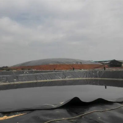 White HDPE Geomembrane Fish Farming Tank Pond Liner for Fish Ponds and Long-Lasting