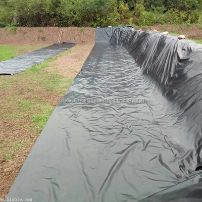 Project Solution Capability HDPE Black Geomembrane 0.5mm for Fish Shrimp Farming Ponds