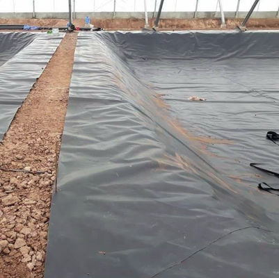 Project Solution Capability HDPE Black Geomembrane 0.5mm for Fish Shrimp Farming Ponds