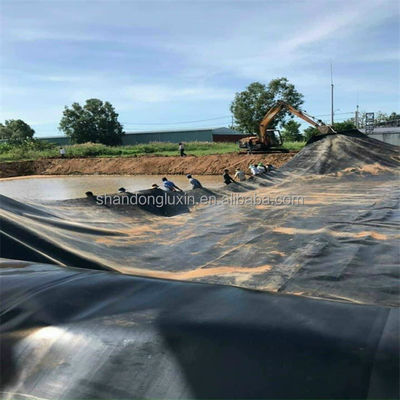 Total Solution for Projects HDPE Geomembrane 0.5mm 1mm 1.5mm 2mm Waterproof Dam Pond Liner