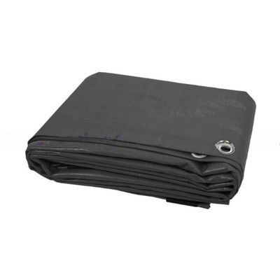 Coated Blue PE Waterproof Plastic Truck/Container Side Curtain Tarpaulin