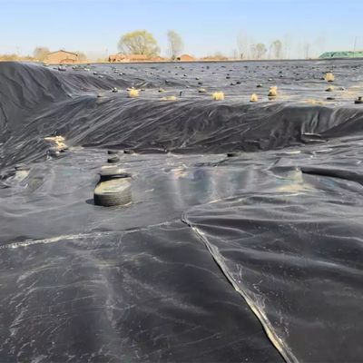 1.0mm Geomembrane 2mm Hdpe Geomembrane 20 Mil Pond Liner for Geomembranes 1m-8m Width