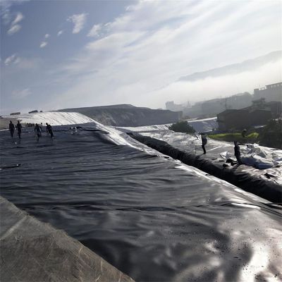 1.0mm Geomembrane 2mm Hdpe Geomembrane 20 Mil Pond Liner for Geomembranes 1m-8m Width