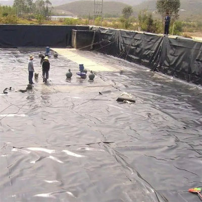 UV Resistant 0.75mm HDPE Tailing Tank Geomembrane for Black or Custom Color Fish Pond