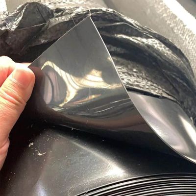 1mm 2mm Thickness HDPE Geomembrane Fish Pond Liner for Artificial Lake Waterproofing