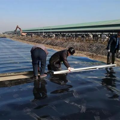 1mm 2mm Thickness HDPE Geomembrane Fish Pond Liner for Artificial Lake Waterproofing