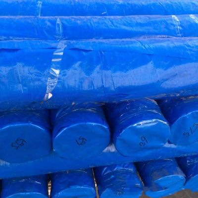 6*6-16*16 Density Waterproof Plastic PE Tarpaulin Roll for Truck/Car/Boat Covers