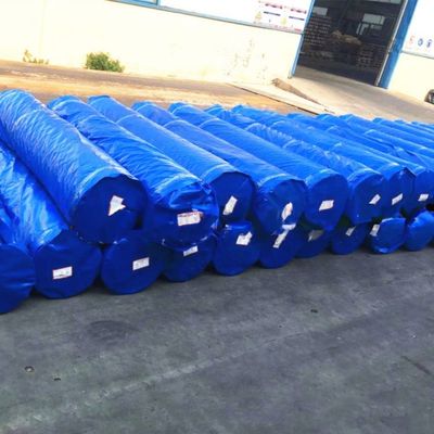 6*6-16*16 Density Waterproof Plastic PE Tarpaulin Roll for Truck/Car/Boat Covers