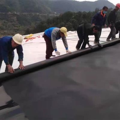 Double Smooth/Double Texture Surface HDPE Geomembrane for Plastic Waterproof Pond Liner