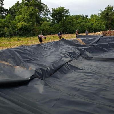Corrosion Resistant Double Smooth Surface 0.5mm HDPE Geomembrane for Shrimp Fish Farming