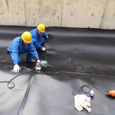 ASTM GRI-GM13 Standard Black White Blue Green HDPE Fish Pond Liner for Waterproofing