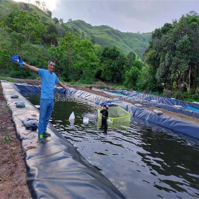 0.75mm HDPE Geoembrane Waterproof Membrane for Aquaculture Fish and Shrimp Tank Liner