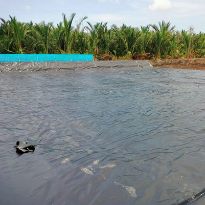 Udg Layfield Geomembrane for South Africa Reservoir Project in Double Smooth Surface