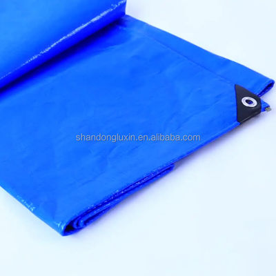 Surface Dealing LDPE Coating Blue PE Tarpaulin 200gsm 2m*100m Roll Canvas Cover Sheet