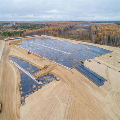 Double Smooth Surface LDPE Geomembrane Lining Pond Liner for Superior Water Protection