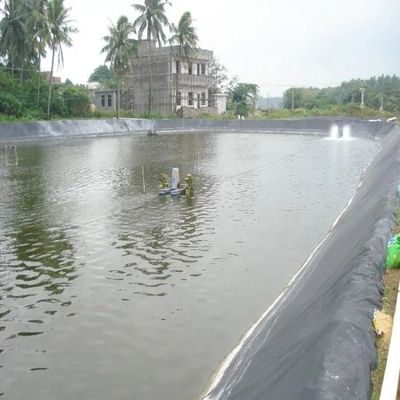 Double Smooth Surface Fish Farming Liner HDPE LDPE 1mm Geomembrane for Water Reservoir