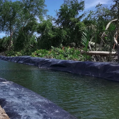 10 Years Service Life HDPE Geomembrane Plastic Liner for Pond Pool Smooth and Durable
