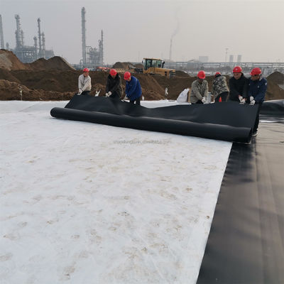 Custom Length Fish Farm Ponds Liner 1mm HDPE Geomembrane with Double Texture Surface