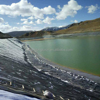 Double Texture HDPE Geomembrane Fish Pond Liner in 1m-8m Width for Performance