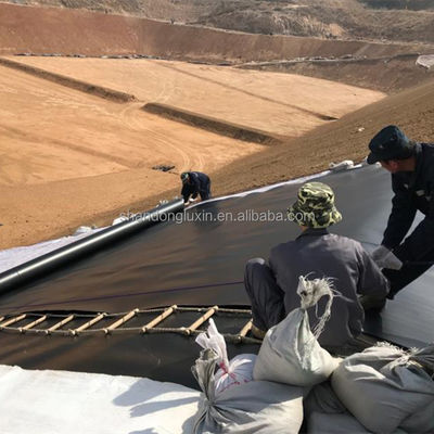 Double Texture HDPE Geomembrane Fish Pond Liner in 1m-8m Width for Performance