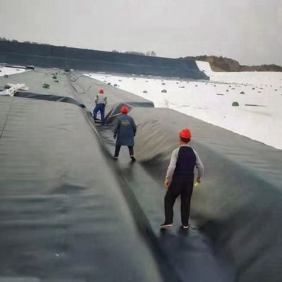 Industrial Design Style HDPE Geomembrane in Black for Waterproof Artificial Lake Tank