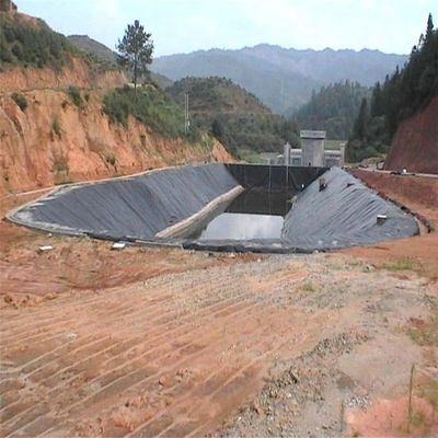 Industrial Design Style 1mm HDPE Geomembrane for Fish Pond and Landfill Total Solution