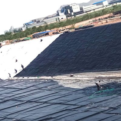 HDPE Geomembrane Film for Reservoir Mining Shrimp Farm Dam Liner Fish Pond Waterproofing