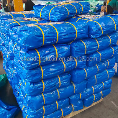 6*6-16*16 Density Double Faced PE Plastic Fabric Tarpaulin for Transportation Cover
