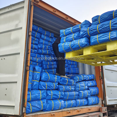 6*6-16*16 Density Double Faced PE Plastic Fabric Tarpaulin for Transportation Cover
