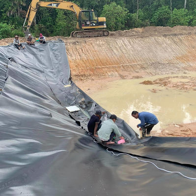 Smooth Surface 0.75mm HDPE Geomembrane for Fish and Shrimp Pond Liner Farming Lobster