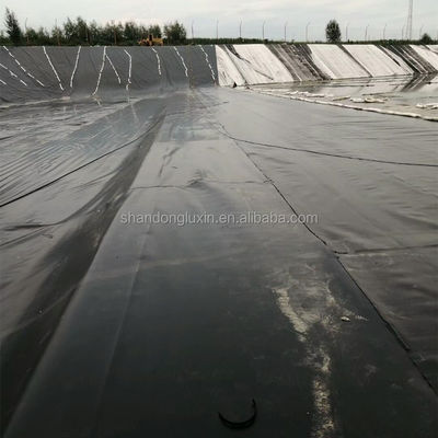 Industrial Design Style Plastic Liners for Farm Earch Dam Lining at Affordable Prices