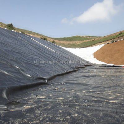 1mm HDPE Geomembrane for Fish Pond and Landfill Double Smooth/Double Texture Surface