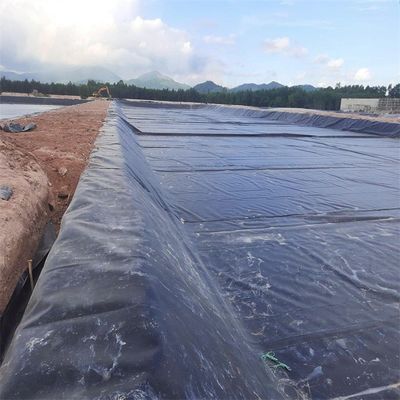 Traditional Design 0.5mm 0.75mm 1.5mm HDPE Geomembrane for Project Solution Capability