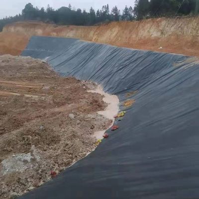 Traditional Design 0.5mm 0.75mm 1.5mm HDPE Geomembrane for Project Solution Capability