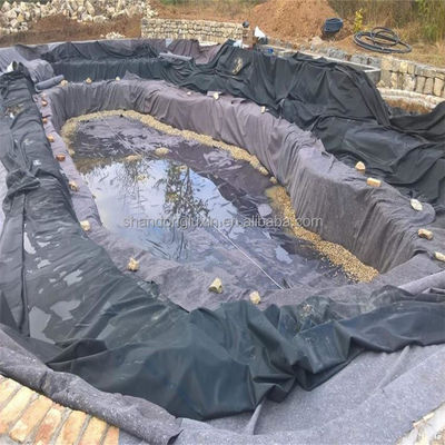 4m 6m HDPE Geomembrane Plastic Artificial Lake Tank Dam Lliner with Double Smooth Surfac