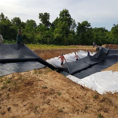 Landfill and Shrimp Farming Waterproof HDPE Geomembrane with Double Smooth Surface