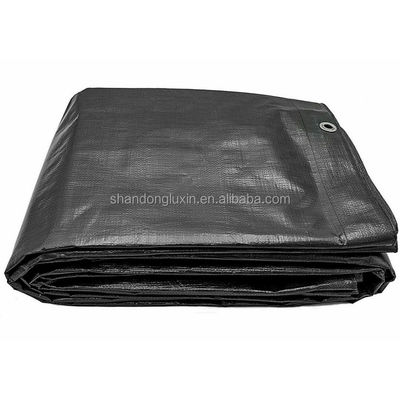 LDPE Coated Poly Tarps for Heavy Duty Outdoor Protection Lightweight and Waterproof