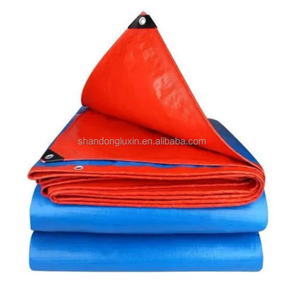 LDPE Coating Fabric Pe Tarpaulin Roll Plastic Sheet Poly Tarps for Finished Sheets