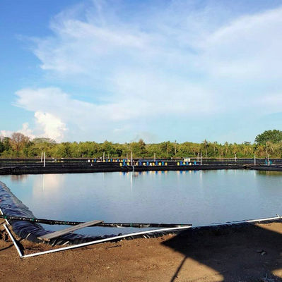1m-8m Width HDPE Liner Geomembrane for Industrial Design Fish Pond and Shrimp Pond