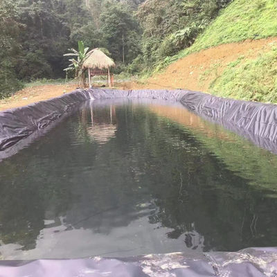 1m-8m Width HDPE Liner Geomembrane for Industrial Design Fish Pond and Shrimp Pond